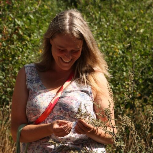 Pocketfullofgreens_Wildplukwandeling_Achterhoek1