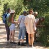 Wildplukwandeling Achterhoek