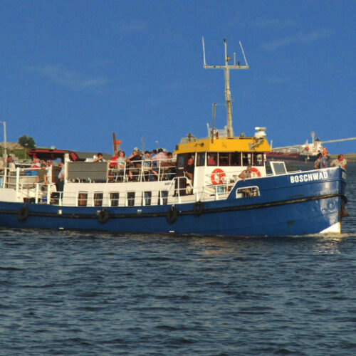 Wadlopen gezinstocht