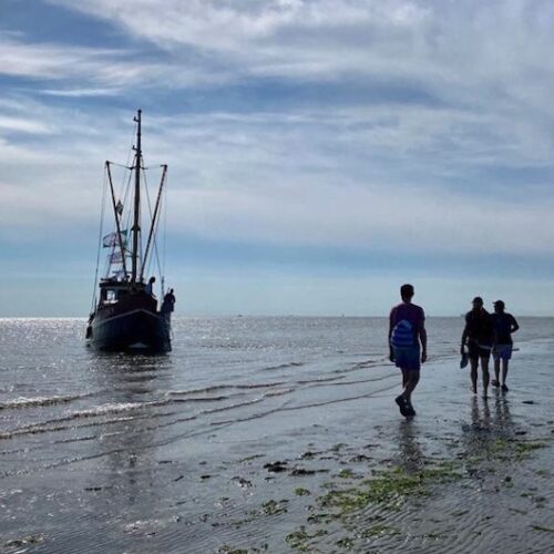 Waddenschiermonnikoog2-doenkado-belevenis-dagjeweg-dagjeuit-cadeau