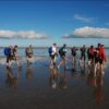 Wadden-Schiermonnikoog dagarrangement