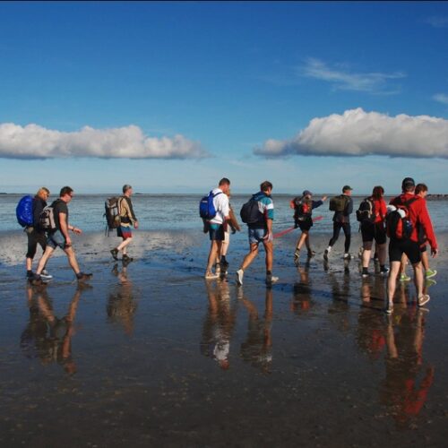Wadden-Schiermonnikoog dagarrangement