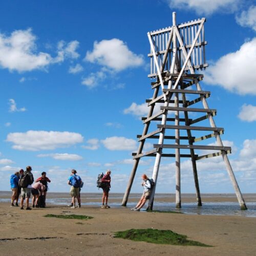 Waddenschiermonnikoog4-doenkado-belevenis-dagjeweg-dagjeuit-cadeau