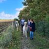 Alpaca Experience